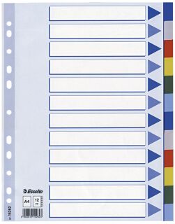 Register - blanko, A4, PP, 12-teilig + Deckblatt, farbig, 1 St.