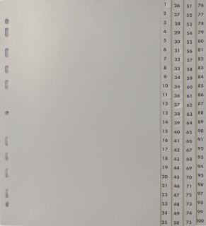 Zahlenregister - 1 - 100, PP, A4, 100 Blatt, 4 Abläufe, grau, 1 St.