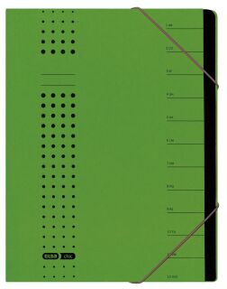 Ordnungsmappe chic - 12 Fächer, A4, Karton (RC), 450 g/qm, grün, 1 St.