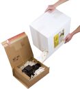 Flo-Box Verpackungschips - 45 Liter, 1 St.