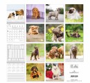 Bildkalender Hundewelpen - 30 x 60 cm, 1 St.