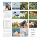 Bildkalender Pferde - 30 x 60 cm, 1 St.