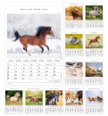 Bildkalender Pferde - 23,7 x 34 cm, 1 St.
