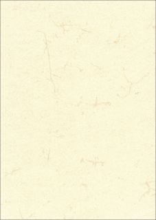 Dokumentenpapier (Elefantenhautpapier), 190g/qm, wei&szlig;, DIN A4, 10 St.