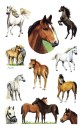 Z-Design 53483, Kinder Sticker, Pferde, 2 Bogen/22...