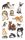 Z-Design 53574, Kinder Sticker, Katzenbabies, 3 Bogen/36 Sticker, 10 St.