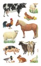 Z-Design 53720, Kinder Sticker, Bauernhoftiere, 3 Bogen/33 Sticker, 10 St.