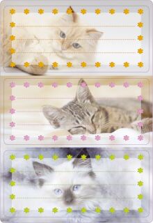 5569 Buchetikett "Katzen", Spezial-Papier, 76 x 35 cm, bunt, 1 St.