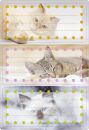 5569 Buchetikett "Katzen", Spezial-Papier, 76 x...
