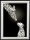 POVï¾® Klapprahmen Double Colour, DIN A0 Schwarz-Silber