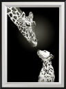 POV® Klapprahmen Double Colour, DIN B2 Schwarz-Silber