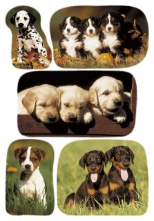 3528 Sticker DECOR Hundewelpenfotos, 10 St.