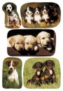 3528 Sticker DECOR Hundewelpenfotos, 10 St.