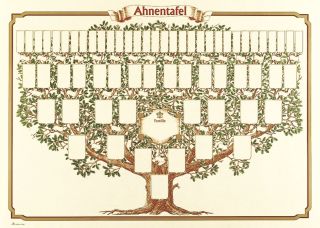 Schmuck-Ahnentafel "Skizzierter Baum" 6 Generationen, (BxH): 70x50 cm, 190g/qm, 1 St.