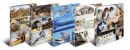 19346 Sammelmappe Animals - A4, Karton, mit Gummizug,...