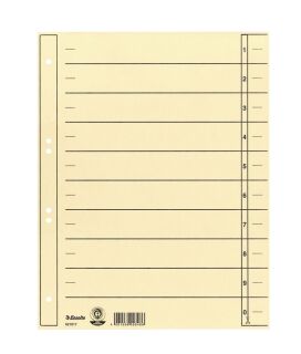 Trennblatt - A4 Überbreite, Karton, chamois, 100 Stück, 1 St.