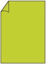 Coloretti Briefbogen - A4, 80g, 10 Blatt, hellgrün,...
