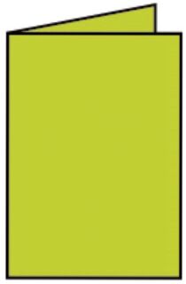Coloretti Doppelkarte - A6 hoch, 5 Stück, hellgrün, 1 St.