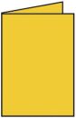 Coloretti Doppelkarte - B6 hoch, 5 Stück, goldgelb,...