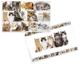 Schreibunterlage Katzen - 55 x 35 cm, 1 St.
