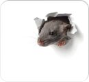 Mousepad Design 2 - 30 Blatt, 220 x 240 mm, Papierblock,...