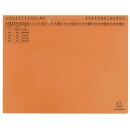 Exacompta Hängehefter Exaflex Karton orange DIN A4...