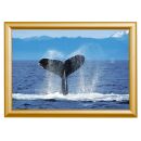 Showdown® Displays  Klapprahmen gold 32,8 x 45,1 cm,...
