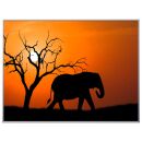 PAPERFLOW Wandbild Elefant, Aluminium, Kunstglas