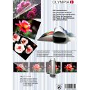 OLYMPIA Laminierfolien-Set glänzend für A4, A5, A6, Visitenkartenformat 80 micron, 100 St.