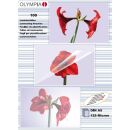 OLYMPIA Laminierfolien glänzend für A5 125...
