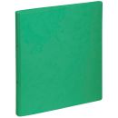 PAGNA Ringbuch 2-Ringe grün 3,0 cm DIN A4