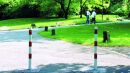 Absperrpfosten aus Stahlrohr Ø 60 mm, herausnehmbar ohne Ösen keine Lackierung Dreikantverschluss