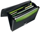4624 Fächermappe Recycle - A4, 5 Fächer, 250...