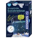 Experimentierkasten - Fun Science Wuselnde Salzkrebse, 1 St.