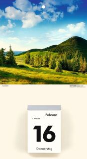 Kalenderrückwand - 18 x 33 cm, 2-fach sortiert, 1 St.