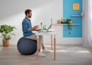 Sitzball Ergo Cosy - Ø 65 cm, grau, 1 St.