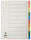 Farbregister - blanko, A4, PP, 10 Blatt + Deckblatt, 1 St.