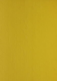 Ledergenarbter Karton DIN A4 Clairefontaine 270g/m², sonnenblumengelb