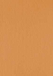 Deckblätter - Rückwände, Karton mit Lederstruktur, DIN A4, 300 g/m², orange