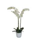 Nachtfalter-Orchidee 100cm, Kunstpflanze weiß
