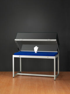 POV® Standvitrine TGV 1000-250-Tech
