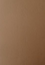 Abdeckfolie satiniert mit Kartonrand in Leder-Struktur für Surebind, Farbe hellbraun, 100er Pack