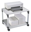 DURABLE Multi Trolley 48 Bürowagen grau 2 Ebenen 60,0 x 43,2 x 47,7 cm
