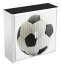 PAPERFLOW easyOffice Rollladenschrank Ball ohne...