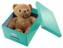 LEITZ Click & Store Aufbewahrungsbox 16,7 l eisblau 28,1 x 36,9 x 20,0 cm, 1 St.