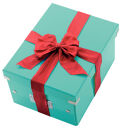 LEITZ Click & Store Aufbewahrungsbox 16,7 l eisblau 28,1 x 36,9 x 20,0 cm, 1 St.