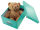 LEITZ Click & Store Aufbewahrungsbox 16,7 l eisblau 28,1 x 36,9 x 20,0 cm, 1 St.