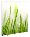 PAPERFLOW Trennwand easyScreen ES160014, Gräser bunt...