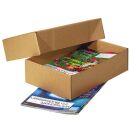 Nestler Kartons mit abnehmbarem Deckel 33,8 x 23,8 x 9,2...
