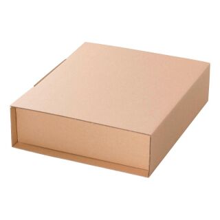 Nestler Ordnerverpackungen 37,5 x 30,0 x 9,5 cm, 20 St.